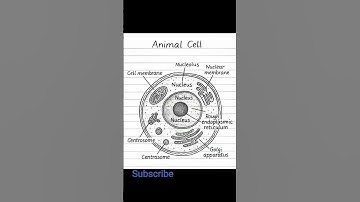 Animal Cell Diagram with Labels 🧬 | Easy Class 9 Biology | Hand-drawn #animalcell  #class9biology