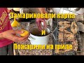 #47 Замариновали и пожарили карпа. Докупили саженцев.