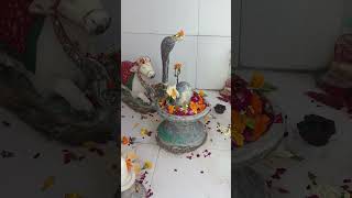 Jyada Puja paath karne wala vyakti #aarti #hindu deity #astrology #facts #vedic #tithi #bharati