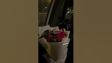 سورة الصافات آية ٩٩ 🌹| وَقَالَ إِنِّي ذَاهِبٌ إِلَىٰ رَبِّي سَيَهْدِينِ