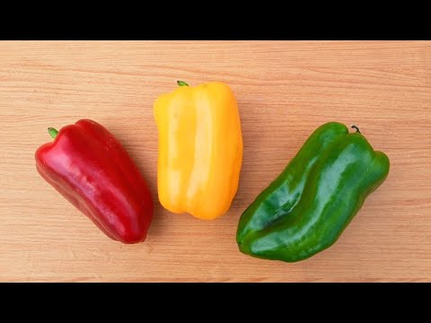 Vídeo: O que é um tomate de pimentão verde: como cultivar tomates de pimentão verde