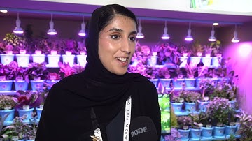 Dubai AI Festival 2025: Hessa Yahya Lootah, AI and Innovation Lead, Dubai Medical University