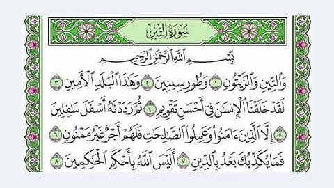 95  سورة التين القرآن الكريم