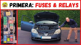 Nissan Primera P12: How To Find Fuse Box & Relays (Find Fuse Boxes)