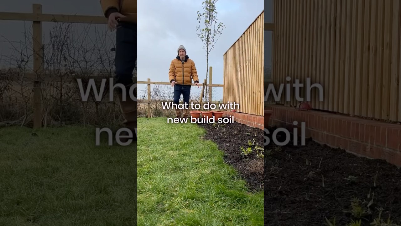 How to deal with new build soil