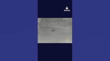 Soaring High | Streaming Now on WAVES OTT