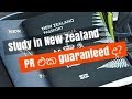 Study in New Zealand - PR එක Guaranteed ද? 🤔