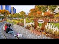 [4K] Seoul Songpa Trail Walk 21km - Hangang & Fall Foliage | 서울 송파둘레길 21km 걷기 투어 - 한강,탄천,성내천,장지천 구간