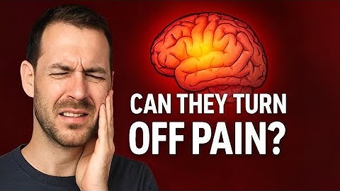 Scientists Discover the Brain’s “Pain Switch” — Can Chronic Pain Be Turned Off?