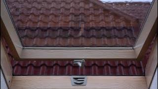💦 Rain Falling on a Attic Skylight with Quiet Thunder Sounds that Can Help You Sleep Like a Baby 💤