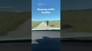 Wyoming traffic troubles . @thats wild with Gary metivier on the road
