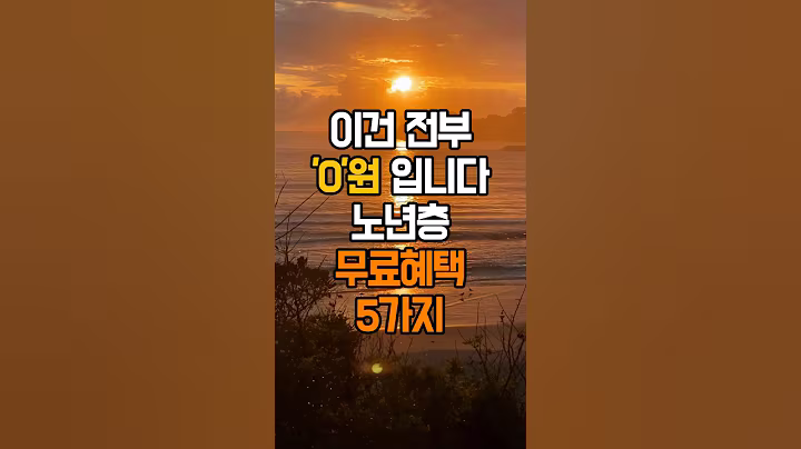 이건 전부 0원입니다｜지하철·버스·박물관·예방접종까지 무료 혜택 5가지 (65세 이상) #노년층혜택 #무료지원 #65세이상 #시니어정보 #0원혜택