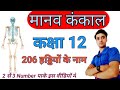 मानव कंकाल में 206 हड्डी के नाम कौन सी हड्डी का क्या नाम है। कक्षा 10,11,12 देखें