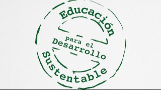 Escuela Bahía Murta: Un establecimiento verde en la carretera Austral