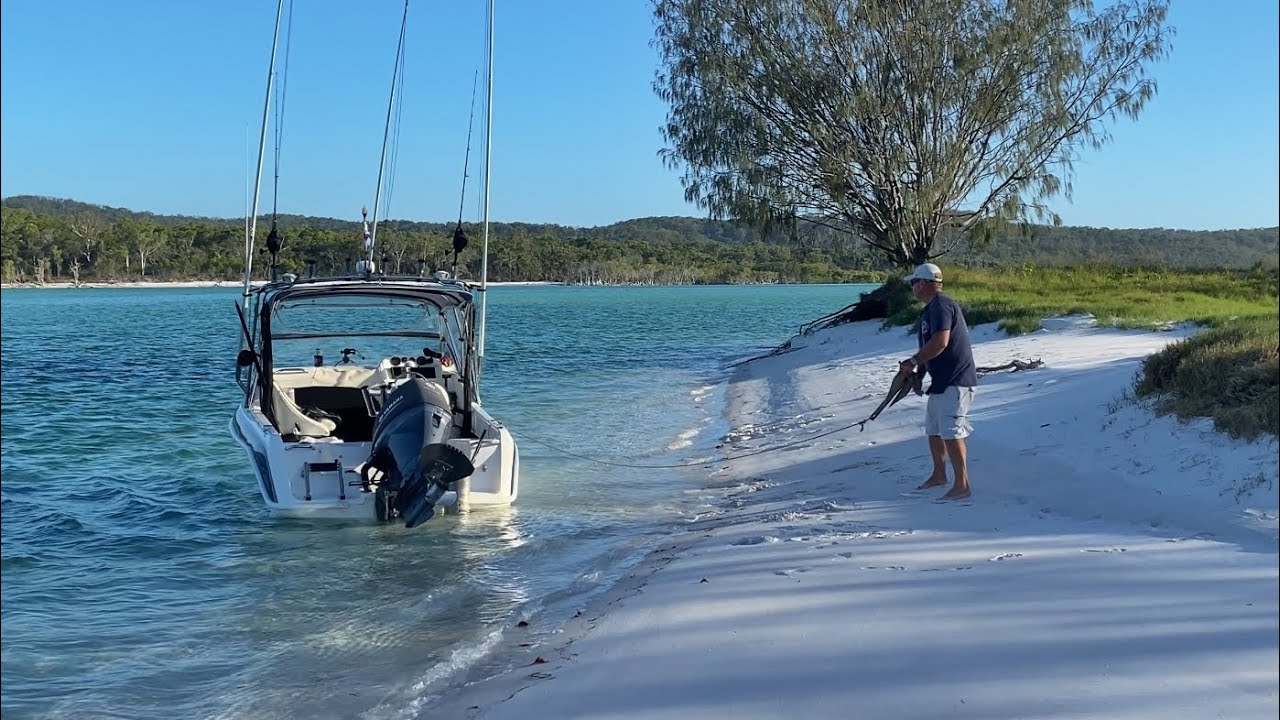 Solo marlin fishing Rooney Pt, Wathumba Creek, Fraser Island Dec 2021 @Professional Boat Care