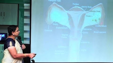 551 Explanation regarding how implantation occurs in Female reproductive system