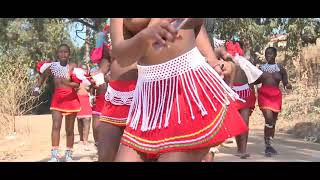 Zulu Maidens -Ngowami