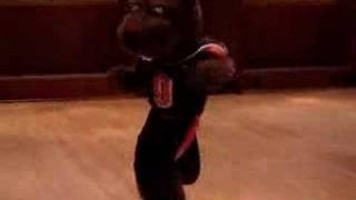 Respect the Beaver