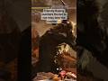MH Rise: Can always count on Rajang to have my back