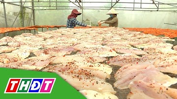 Nâng tầm giá trị con cá điêu hồng đặc sản | Thủy sản hội nhập - 27/2/2025 | THDT