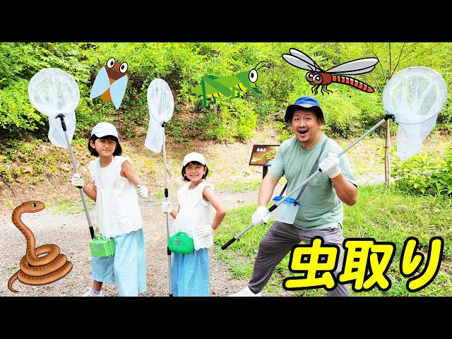 虫取り網・虫かご