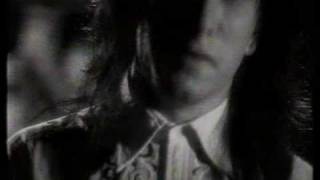 Vignette de la vidéo "Died Pretty - True Fools Fall (1990)"