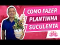 PLANTINHA SUCULENTA - LEMBRANCINHA PARA OS PAIS