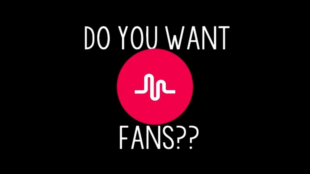 musically followers no verification