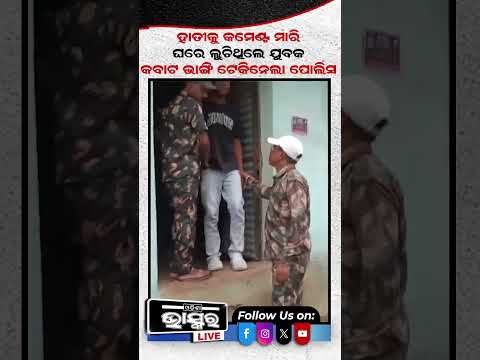 ହାତୀ ଦାନ୍ତରେ ହାତ ମାରିଦେଲା ଯୁବକ    #odishabhaskar #latestnews #eelphant
