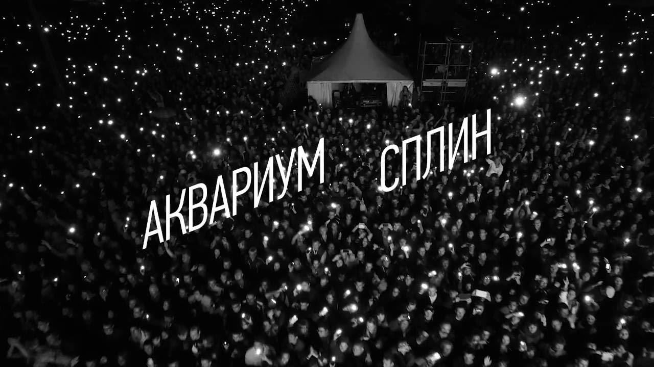 MegaFonLive 2016 intro - YouTube Портал Om1.ru