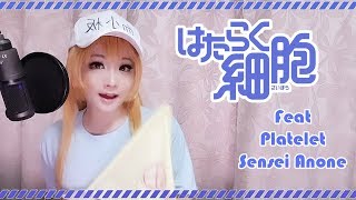 Hataraku Saibou Platelets Theme Song「Sensei Anone」 - Anime Cover by 【Miki Tsubaki】