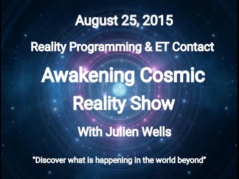 Interview Julien Wells Reality Programmer