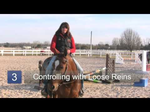 How to Train a Western Pleasure Horse