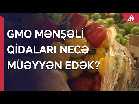 Video: Qasırğanın Bitki Zərərləri - Bağlarda Qasırğadan Mühafizə Haqqında məlumat əldə edin