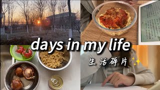 中国留学VLOG🇨🇳｜first outing in 2023｜cooking simple vegan meal🌱｜learning Japanese｜workout, skincare