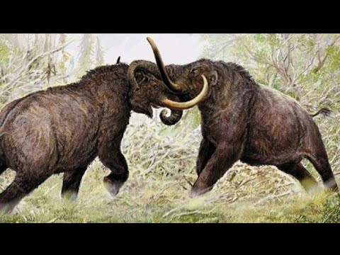 American Mastodon Sounds Prehistoric Beast Sounds Cenozoic Animals