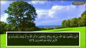 سوره بقره آیه ( 25 تا 29 )  با ترجمه فارسی