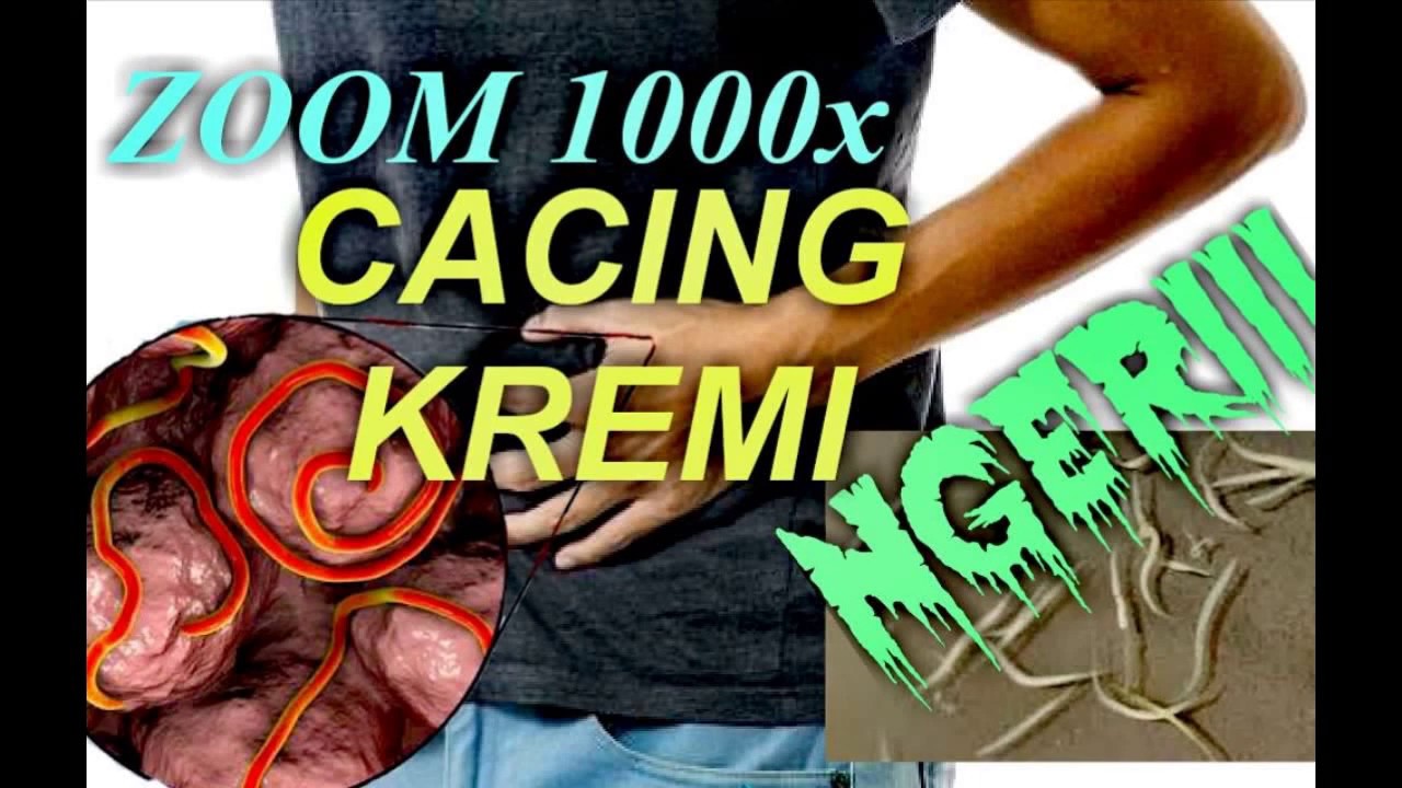 CACING KREMI ZOOM 1000X, WOW NGERIIIII.....!!!! 