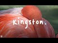 Faye Webster - Kingston (Lyrics)