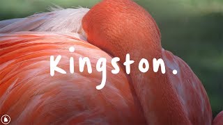 Faye Webster - Kingston (Lyrics) Resimi