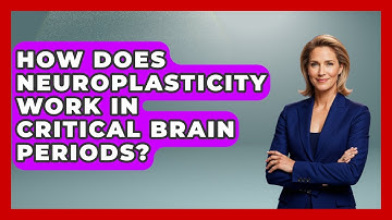 How Does Neuroplasticity Work In Critical Brain Periods? - Brain Development Hub