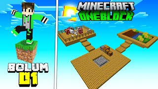 1 BLOKTA SKYBLOCK ! │(Tadımlık Seri) Minecraft OneBlock ➤ Bölüm 01 @seyidcanyt