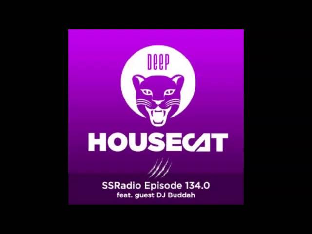 Deep House Cat Show - Sassafras Mix- feat. Hypnotic Progressions