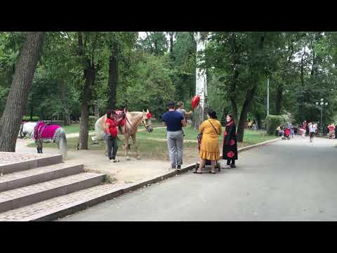 Video: Unde Să Mergi în Almaty