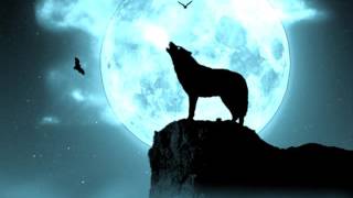 Drakostorm - Nightwolf