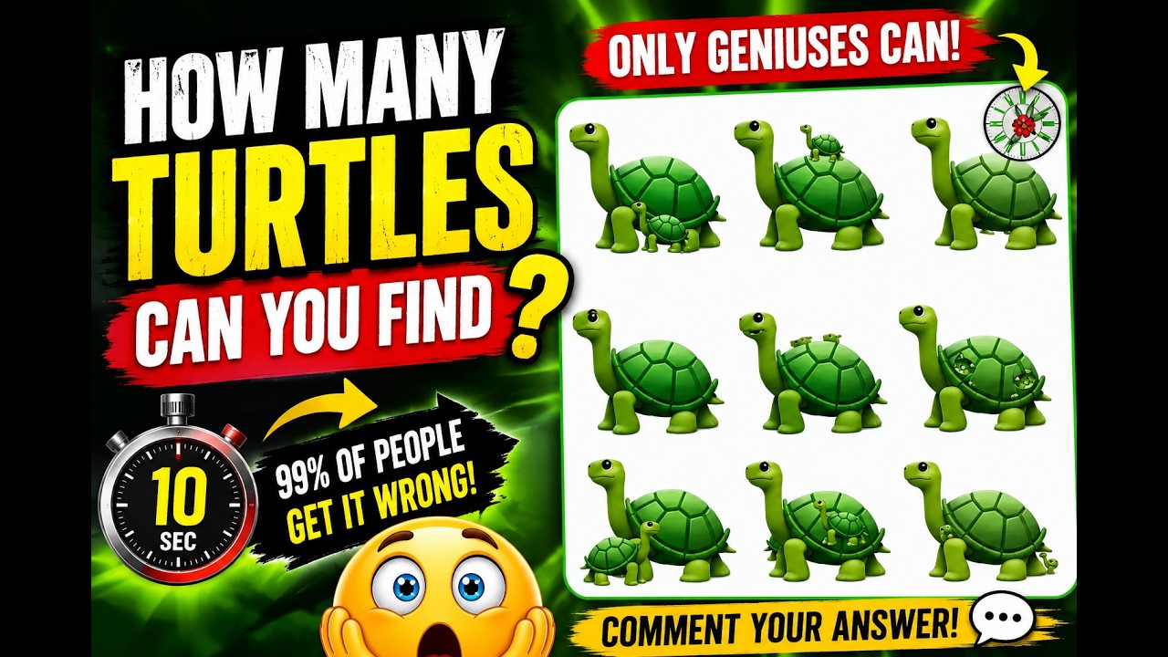 ?? 99% of people get this wrong!How many turtles can you find in 