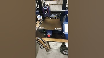 Y-axis noise on Kobra 2