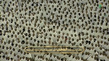 سورة يونس لـ فضيلة الشيخ #فيصل_غزاوي من صلاة المغرب ٣٠ صفر ١٤٤٤هـ