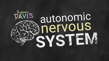 Autonomic Nervous System