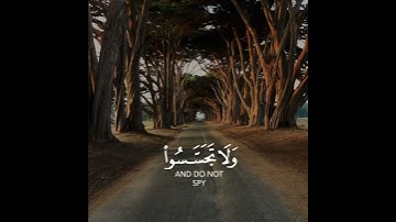 سورة الحجرات (مقاطع قرانية قصيرة)